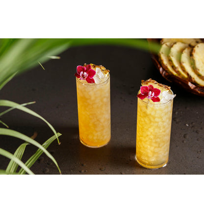 Machine à glaçons en pépites GE Appliances XPIO23SCSS GE Profile™ Opal™ 2.0