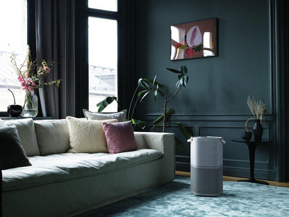 Purificateur d'air Electrolux EHAW4010AG Electrolux de 267 pi²